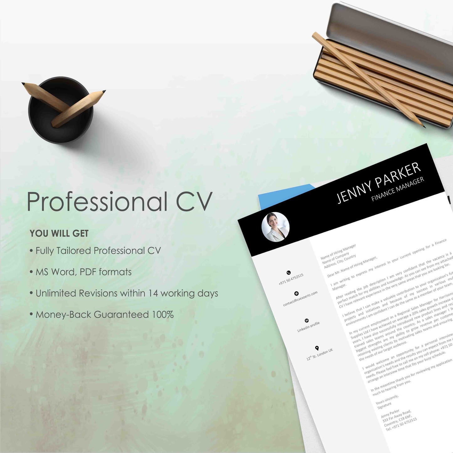 Professional [CV]